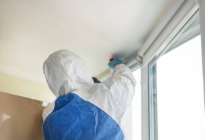 mold removal