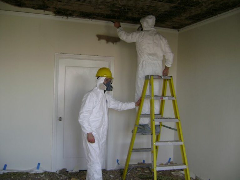 mold removal